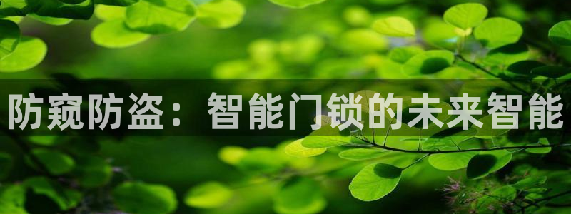 金年会6766：防窥防盗：智能门锁的未来智能