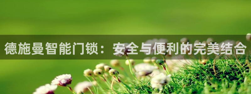 金年会和万博：德施曼智能门锁：安全与便利的完美结合