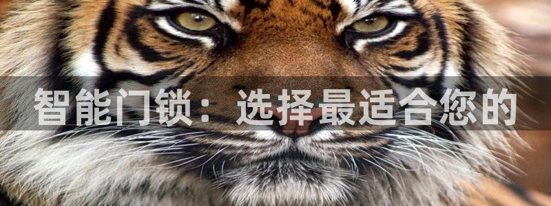 金年会登陆：智能门锁：选择最适合您的