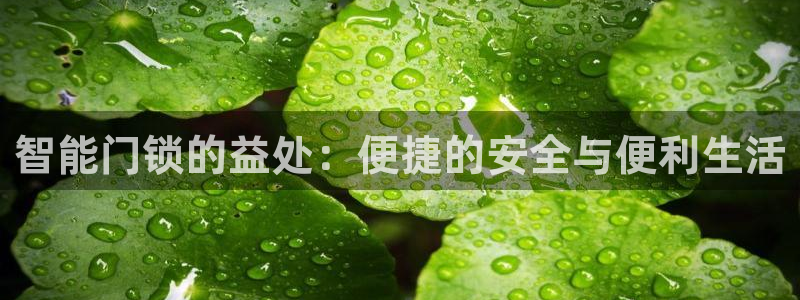 金年会 1080P：智能门锁的益处：便捷的安全与便利生活