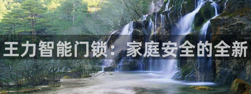 金年会拼音：王力智能门锁：家庭安全的全新