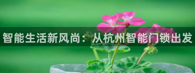 融通金年会：智能生活新风尚：从杭州智能门锁出发