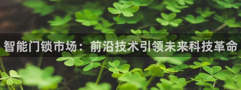 类似金年会：智能门锁市场：前沿技术引领未来科技革命