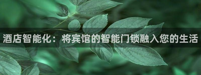 金年会体育平台：酒店智能化：将宾馆的智能门锁融入您的生活