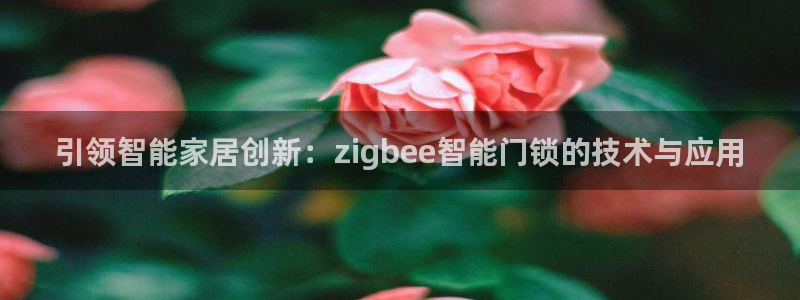 金年会是啥：引领智能家居创新：zigbee智能门锁的技术与应