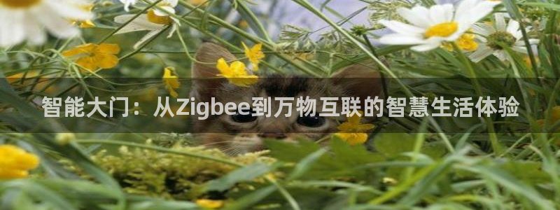 金年会平台是不是大台子
