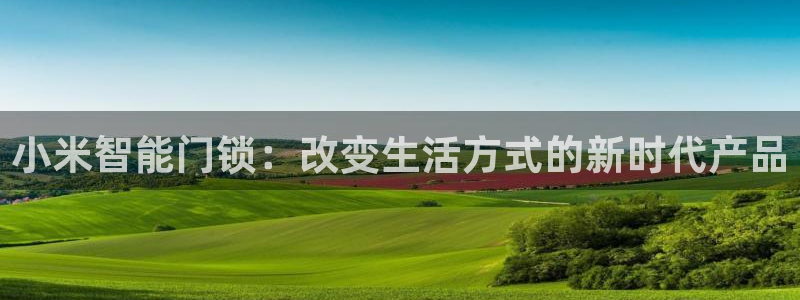 金联金年会：小米智能门锁：改变生活方式的新时代产品