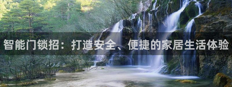 金金年会