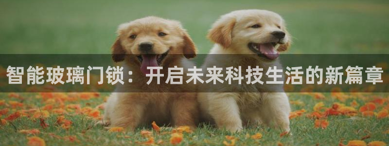金齿科年会