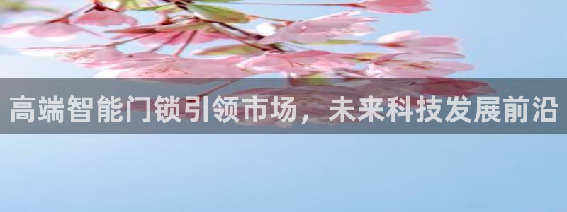 金年会app下载官网：高端智能门锁引领市场，未来科技发展前沿