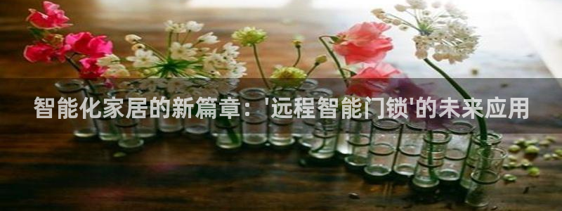 澳门金年会棋牌：智能化家居的新篇章：\'远程智能门锁\'的未