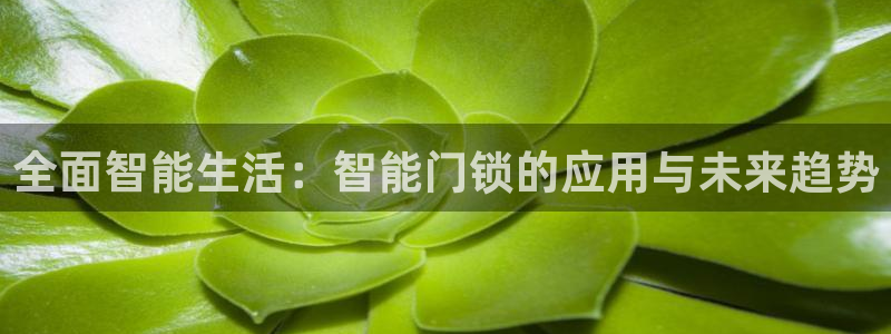 金年会平台登陆