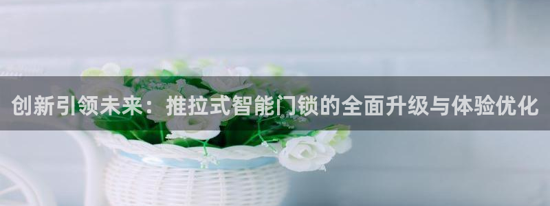 金年会信誉：创新引领未来：推拉式智能门锁的全面升级与体验优化