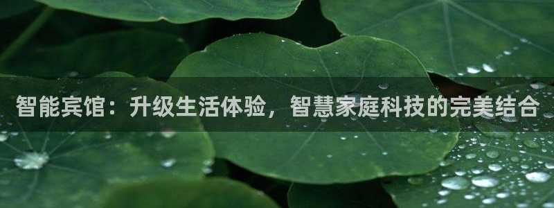 陆金所 年会：智能宾馆：升级生活体验，智慧家庭科技的完美结合