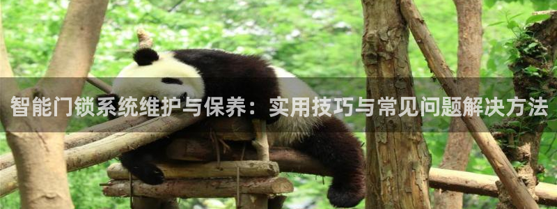 金年会体育官方下载：智能门锁系统维护与保养：实用技巧与常见问