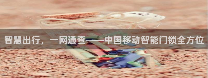 金年会18 28：智慧出行，一网通查——中国移动智能门锁全方