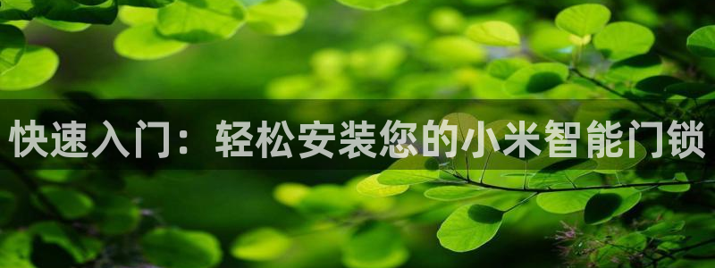 金年会是正规的吗：快速入门：轻松安装您的小米智能门锁
