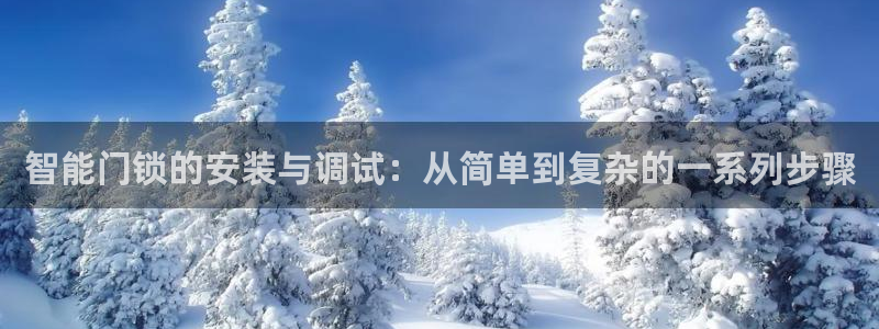 金帆年会2017