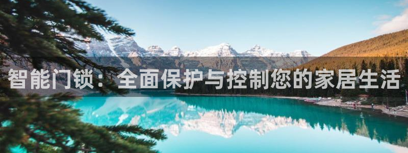 金年会最新登录网站：智能门锁：全面保护与控制您的家居生活