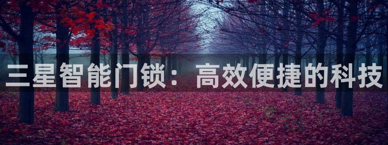 融通金年会：三星智能门锁：高效便捷的科技