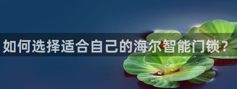 金年会澳门6766：如何选择适合自己的海尔智能门锁？