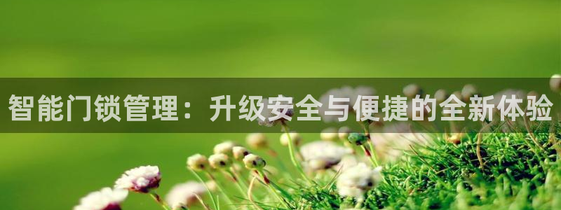 金年会全站app
