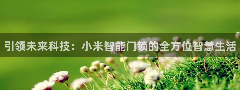 金年会金字招牌信誉至上：引领未来科技：小米智能门锁的全方位智
