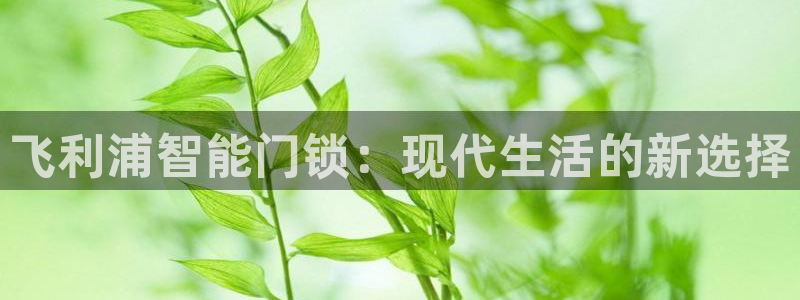 金年会娱乐官网