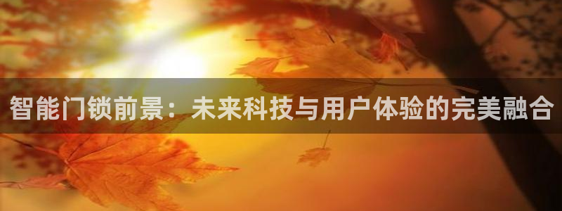 为什么搜索不了金年会