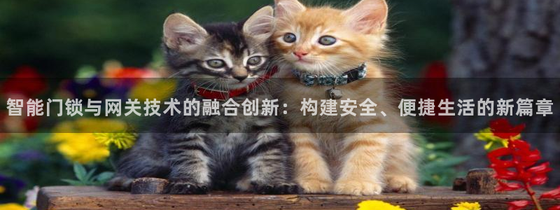 金年会是正规的吗