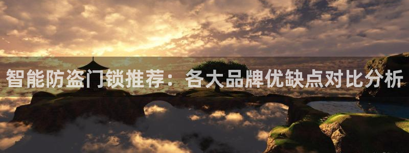 金 金年会