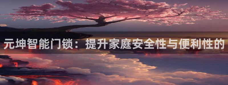今金年会：元坤智能门锁：提升家庭安全性与便利性的