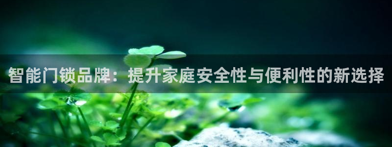 金年会娱乐下载app：智能门锁品牌：提升家庭安全性与便利性的
