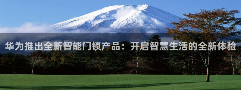 金年会官网入口