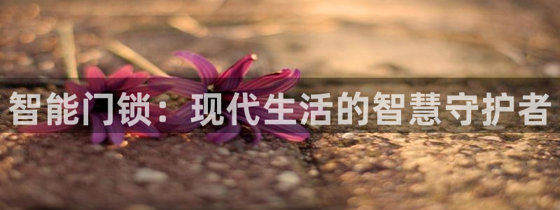 金年会网登录平台入口：智能门锁：现代生活的智慧守护者