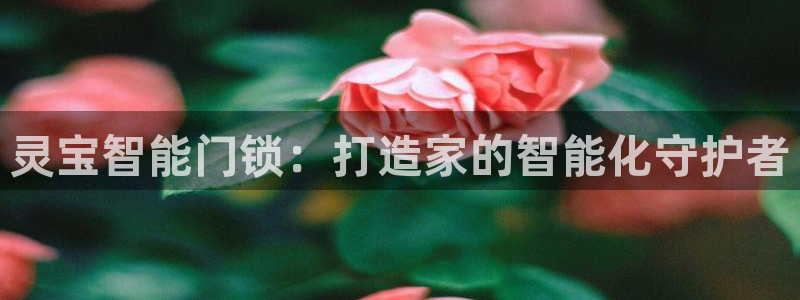 金年会体育苹果下载