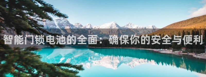 金年会体育