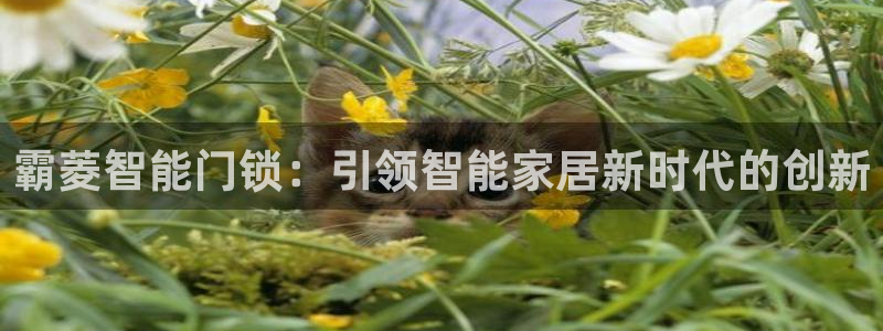 金年会官网app：霸菱智能门锁：引领智能家居新时代的创新