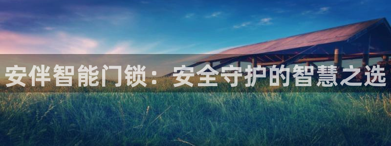 金年会体育在线入口：安伴智能门锁：安全守护的智慧之选