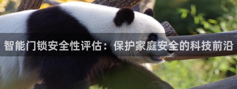 金年会游戏：智能门锁安全性评估：保护家庭安全的科技前沿