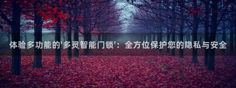 体育金年会：体验多功能的\'多灵智能门锁\'：全方位保护您的