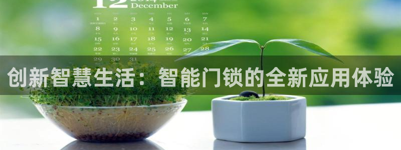 金年会现金网：创新智慧生活：智能门锁的全新应用体验