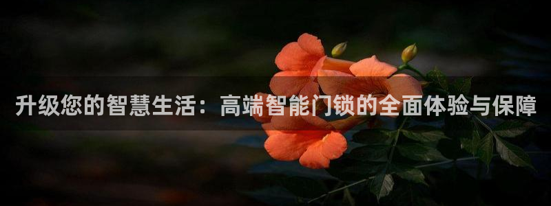 金年会体育平台：升级您的智慧生活：高端智能门锁的全面体验与保
