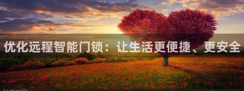 金年会取款：优化远程智能门锁：让生活更便捷、更安全