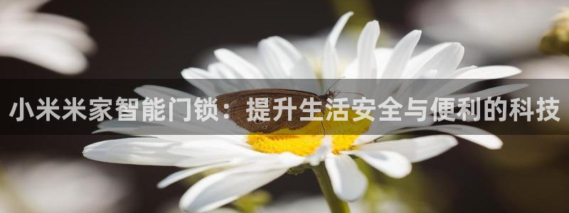 金年会体育平台入口：小米米家智能门锁：提升生活安全与便利的科