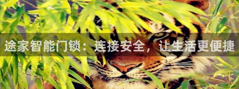 金年会官网：途家智能门锁：连接安全，让生活更便捷