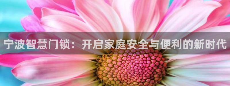 金年会信誉：宁波智慧门锁：开启家庭安全与便利的新时代