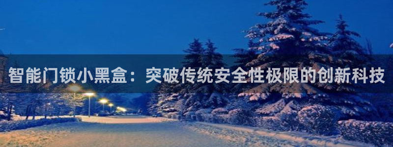 金年会手机官网：智能门锁小黑盒：突破传统安全性极限的创新科技