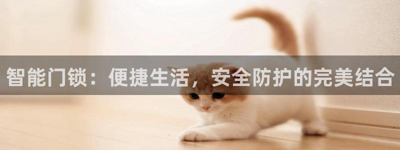 金哥年会：智能门锁：便捷生活，安全防护的完美结合