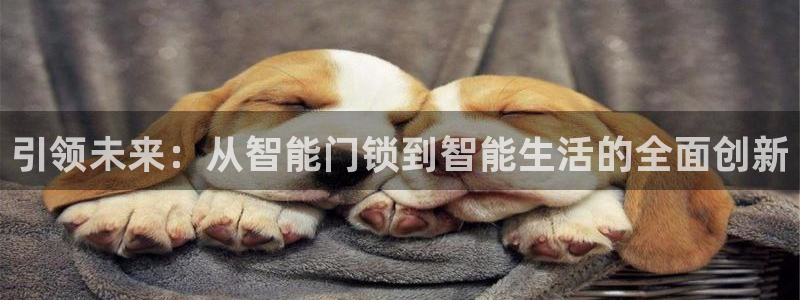 金齿科年会